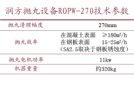 ������ʱ�����豸ROPWϵ�� ROPW-270��������
