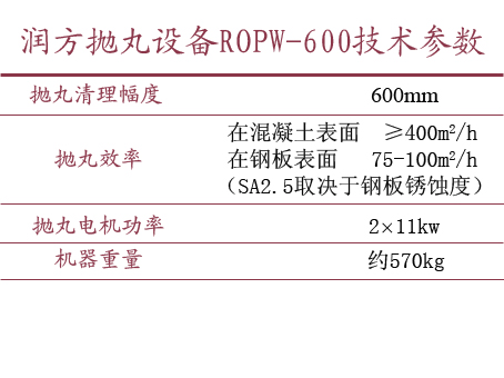 ������ʱ�����豸ROPWϵ�� ROPW-600��������